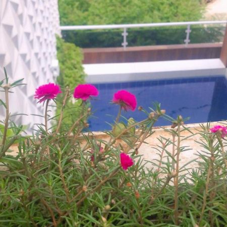 Pousada Berro Do Bode Hotel Cabaceiras Ngoại thất bức ảnh
